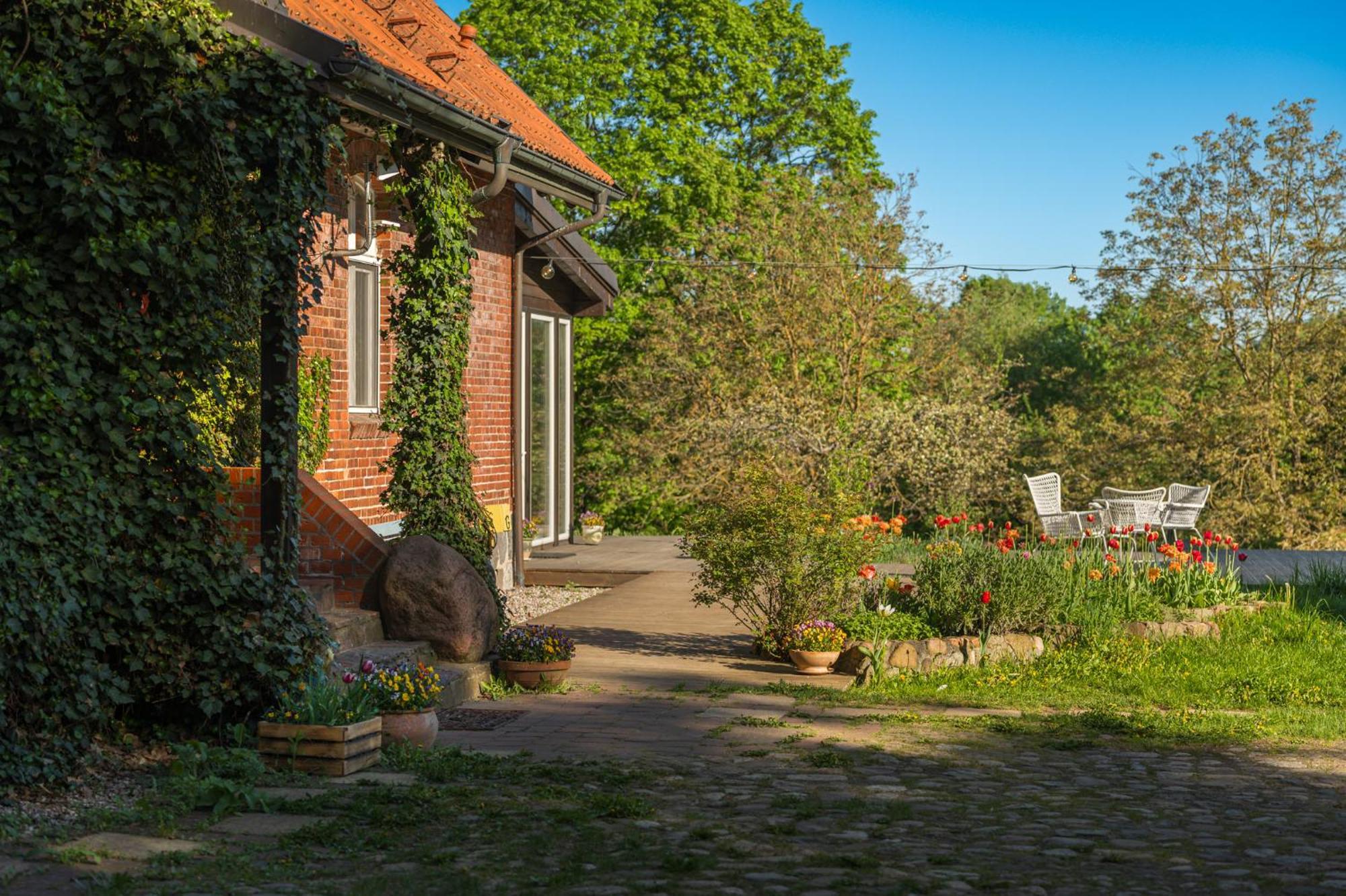 Dom Goscinny Stara Szkola Wysoka Wies Bagian luar foto